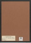Surirella kurzii Grun. (de-Toni-Nr.: Genus 53, Species 2378) Zeichnungen Sammlung Grunow Mappe 02533 (Herbarium_W_Grunow_drawings_Folder_02533)